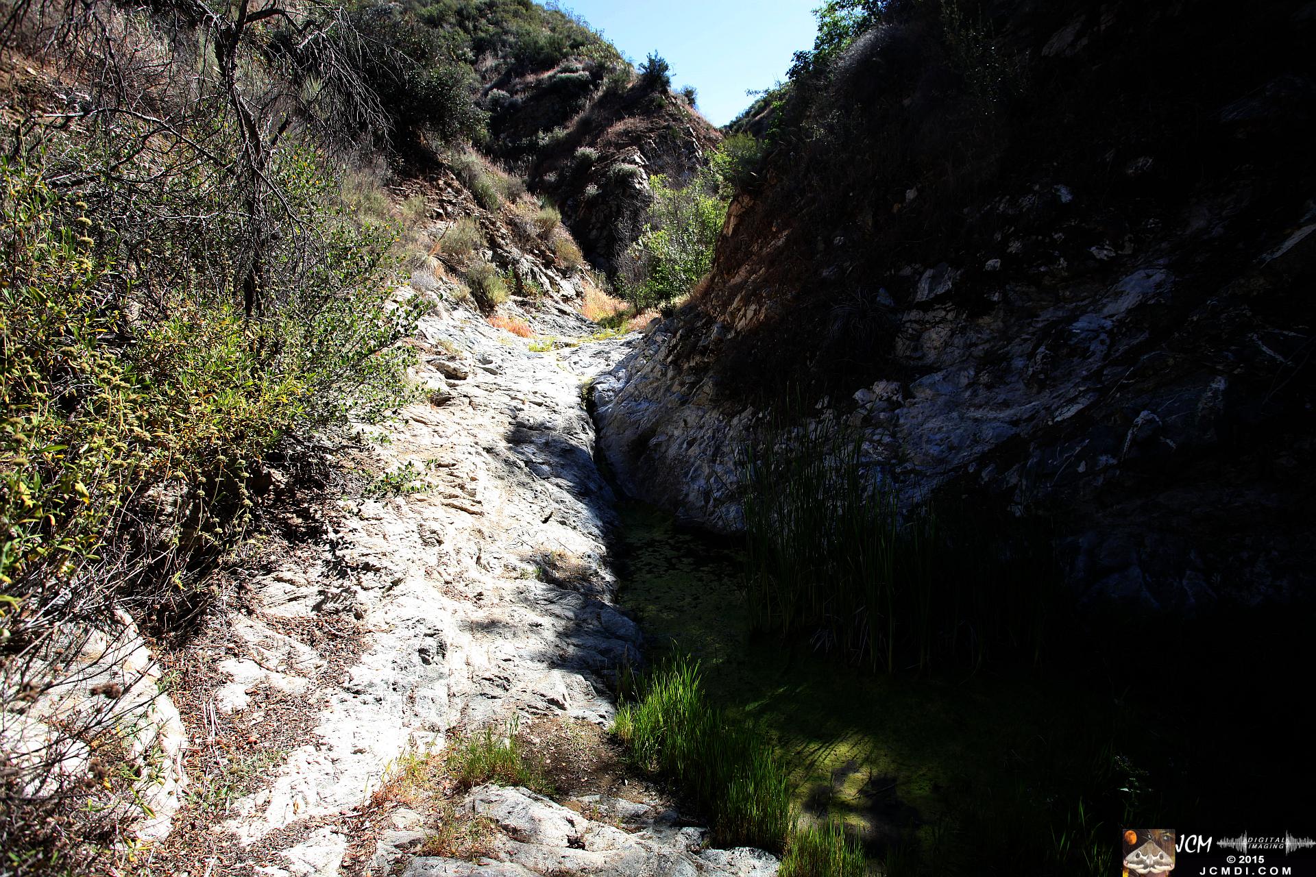 Whitney Canyon Hike algae pool